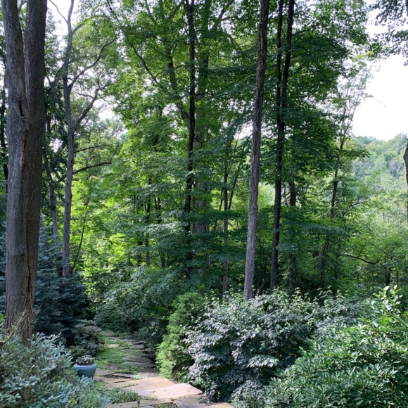 Meet your Posher, Gabrielle - Picture 1 of 1